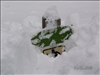 SWZ_Winter1 2004-05 (5)